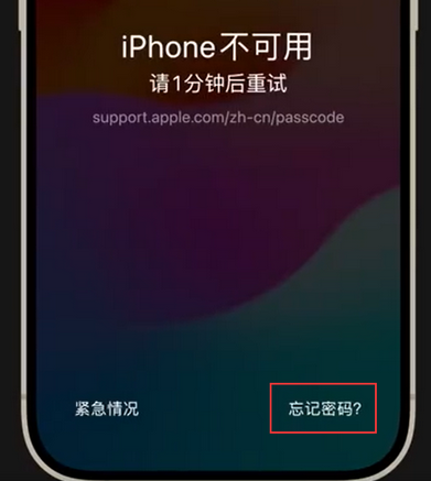 贺州苹果手机密码维修分享iPhone忘记了刚设置的密码 