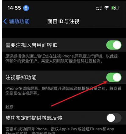 贺州苹果14维修网点分享iPhone14注视感知功能有什么用 