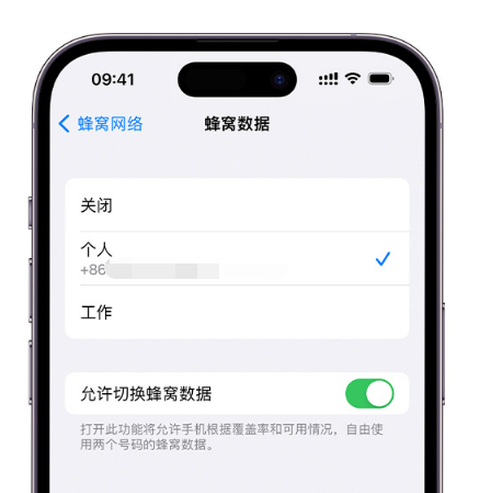 贺州苹果维修服务分享如何在iPhone上使用双卡 