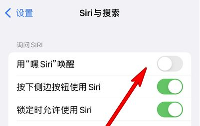 贺州苹果13维修分享iPhone 13怎么唤醒 Siri  