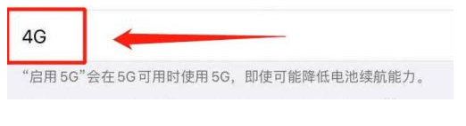 贺州苹果13维修分享iPhone 13恒定4G设置方法 
