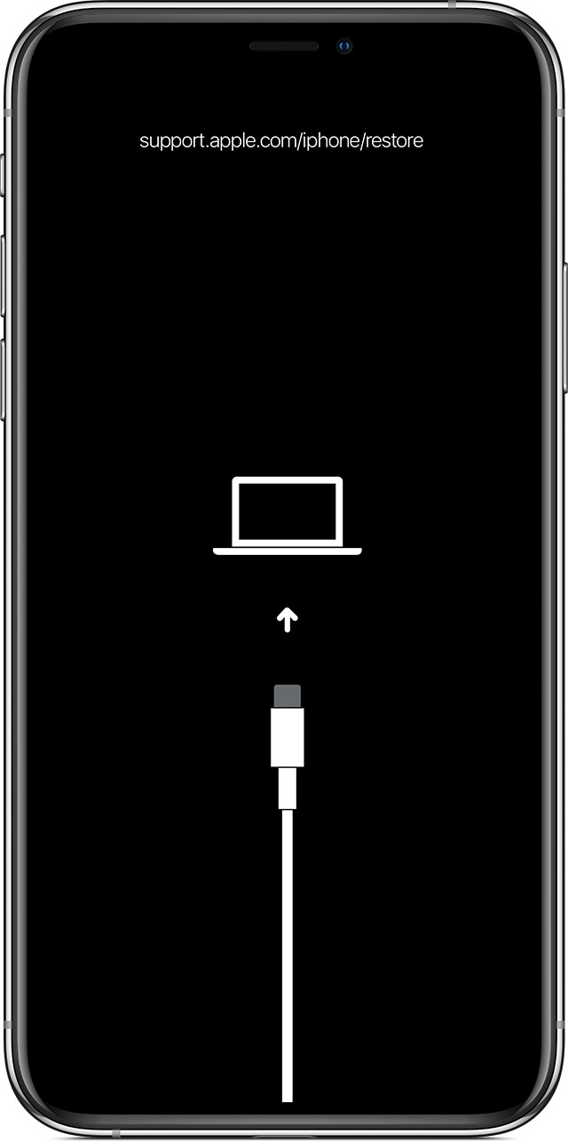 贺州苹果手机维修分享iPhone 输入锁屏密码出现方框，且原密码不正确怎么办 