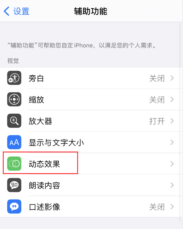 贺州苹果手机维修分享iPhone 12 退出应用时没有动画显示，如何设置 