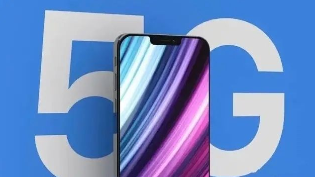 贺州苹果手机维修分享iPhone12 pro怎么显示5G 